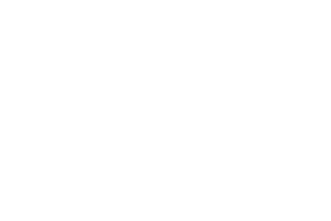DAZZLER 1