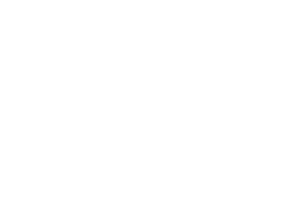 GRUPO SANTIS