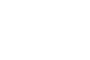 VIDA SOL